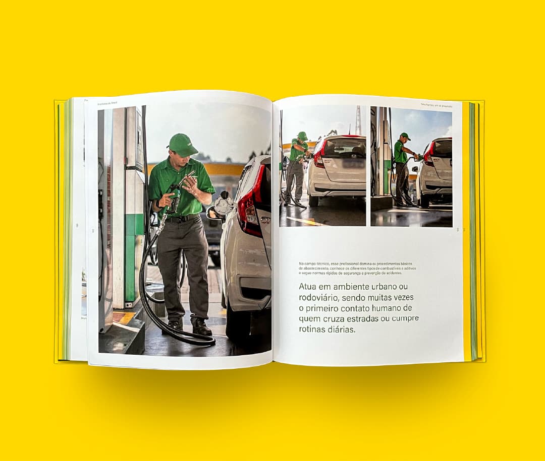 Identidade visual FRENTISTAS DO BRASIL, RegularSwitch
