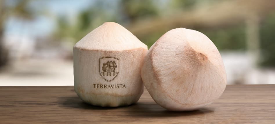 Identidade visual Terravista, RegularSwitch
