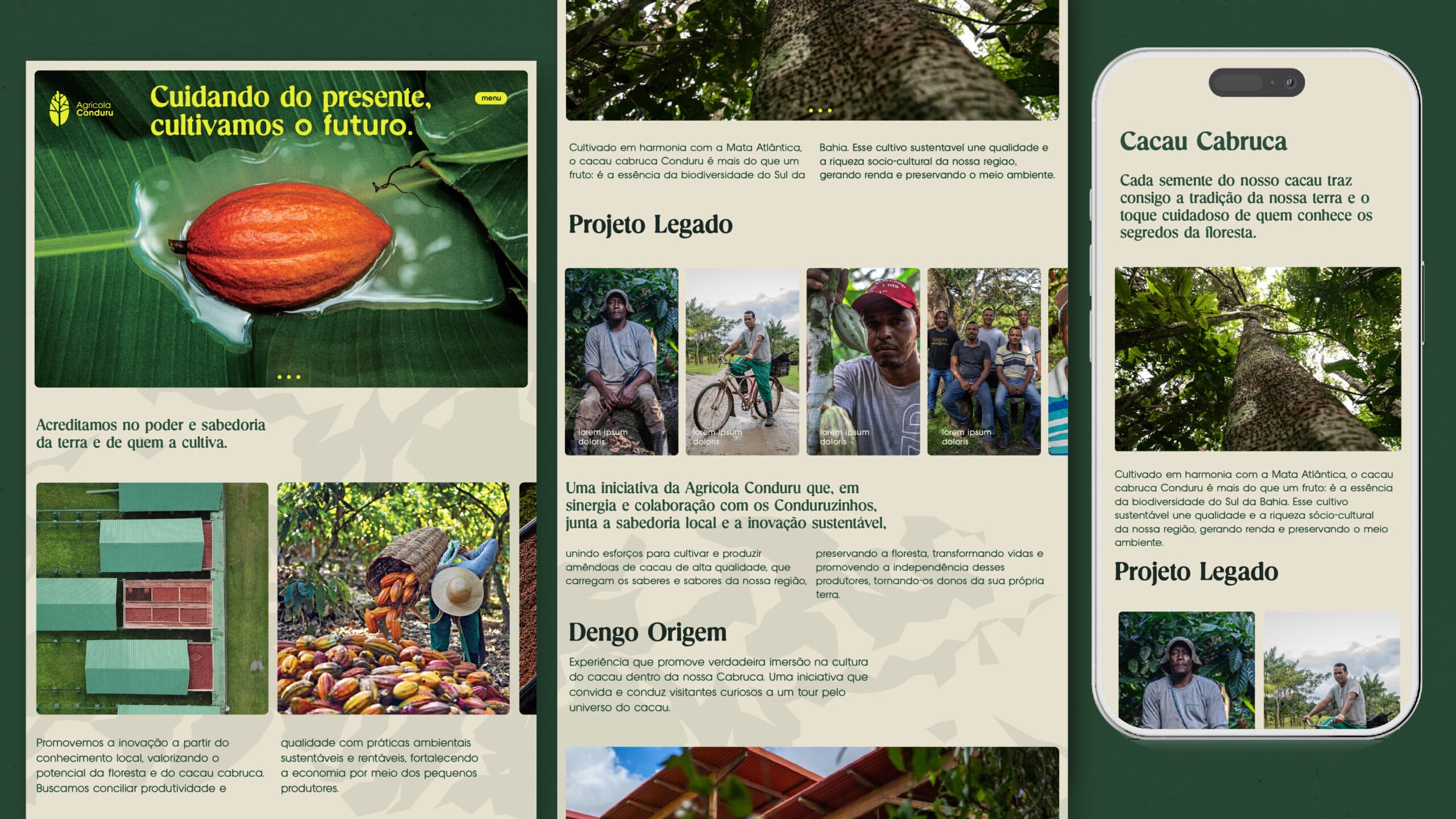 Identidade visual Conduru | identidade visual para fazenda de cacau na Bahia, RegularSwitch