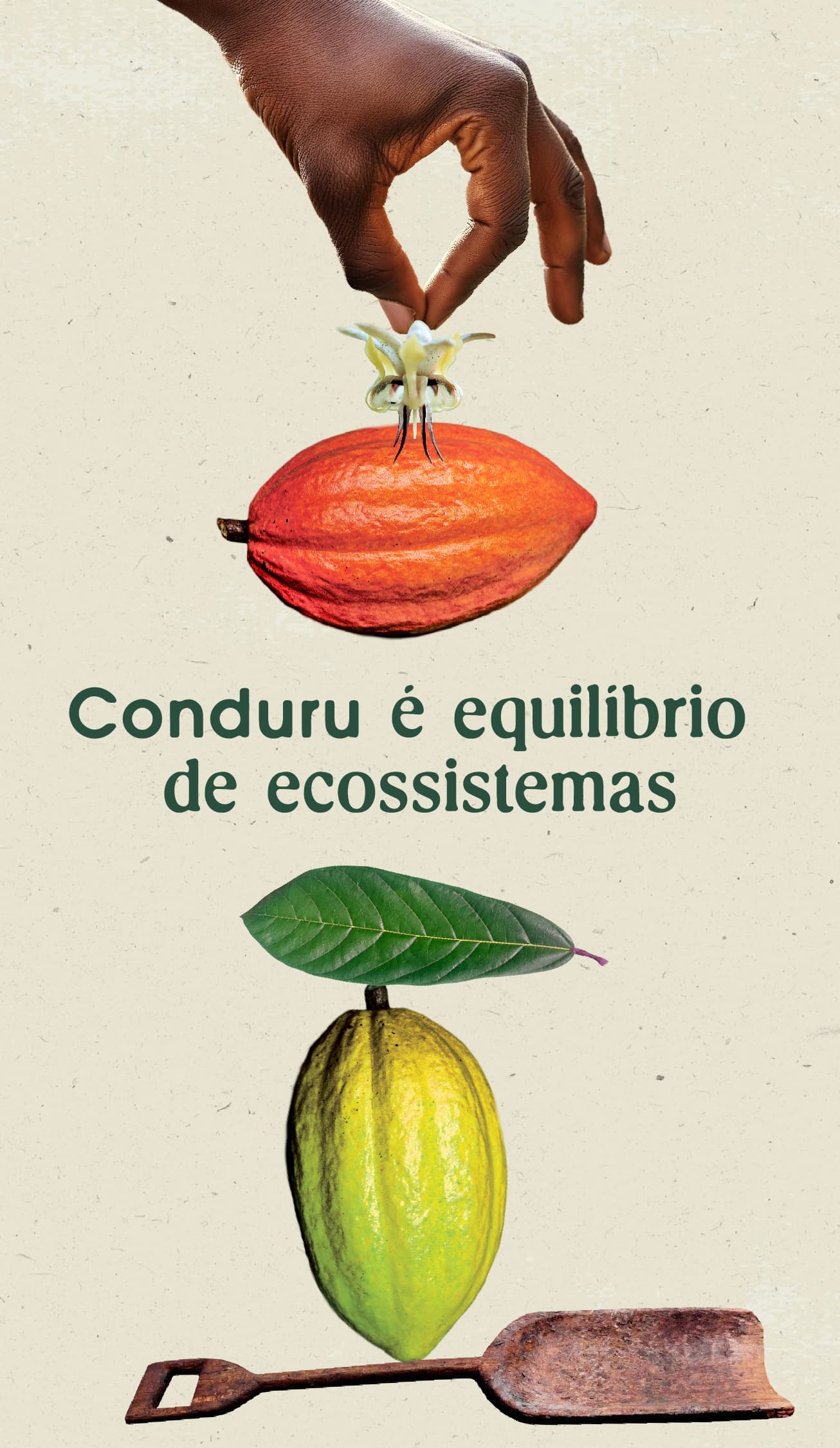 Identidade visual Conduru | identidade visual para fazenda de cacau na Bahia, RegularSwitch