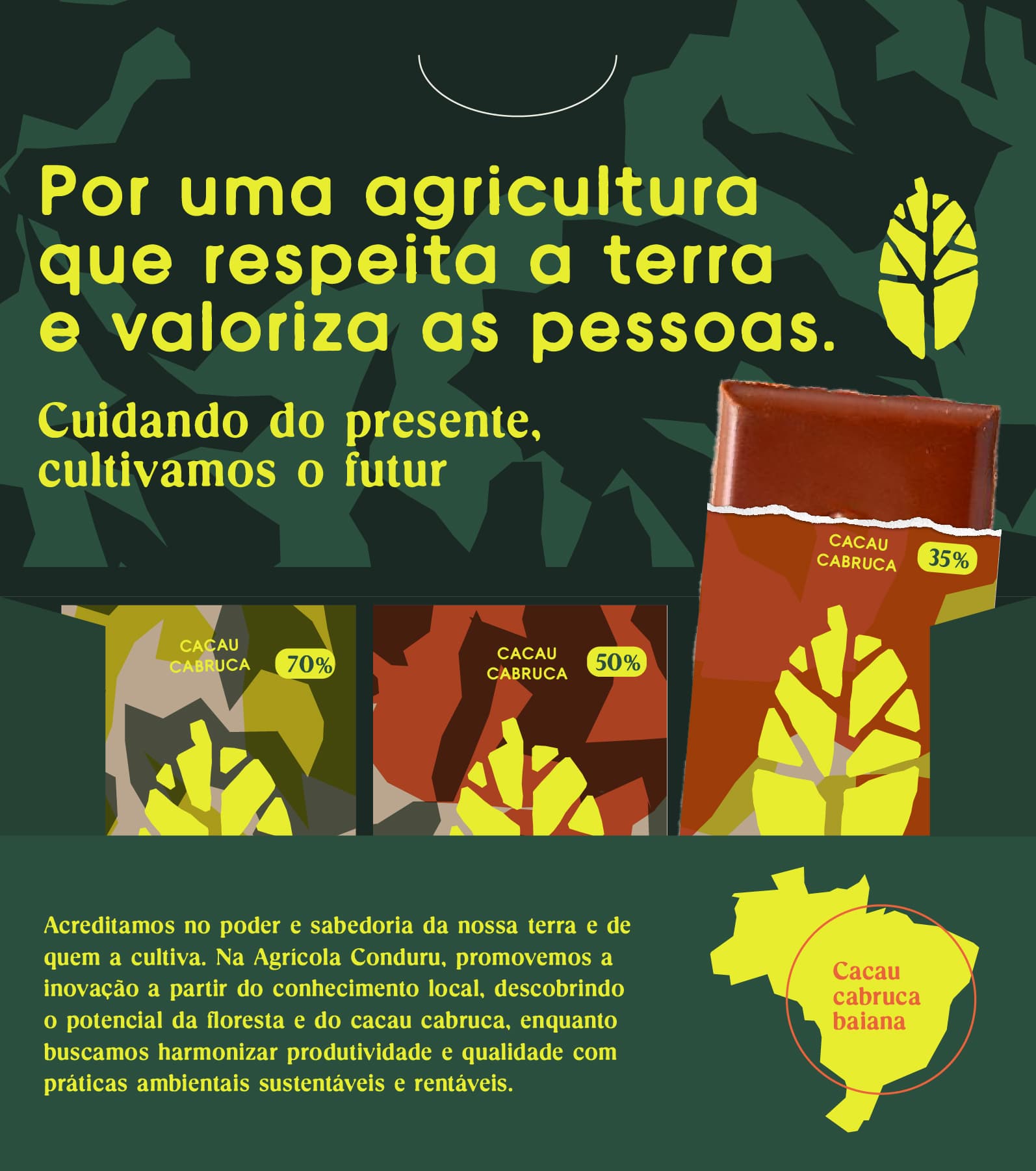 Identidade visual Conduru | identidade visual para fazenda de cacau na Bahia, RegularSwitch