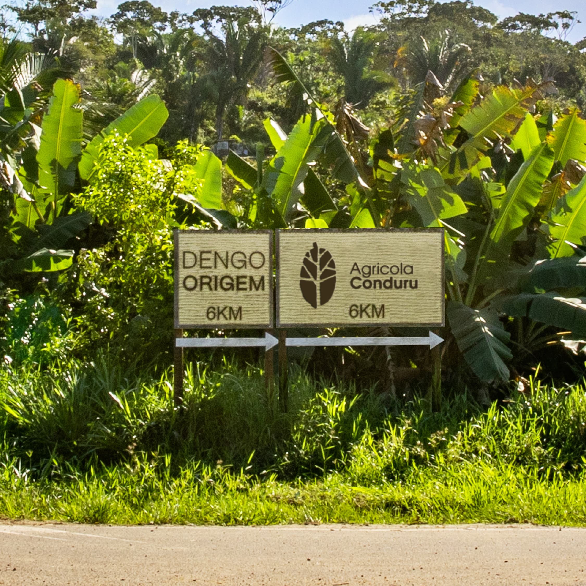 Identidade visual Conduru | identidade visual para fazenda de cacau na Bahia, RegularSwitch