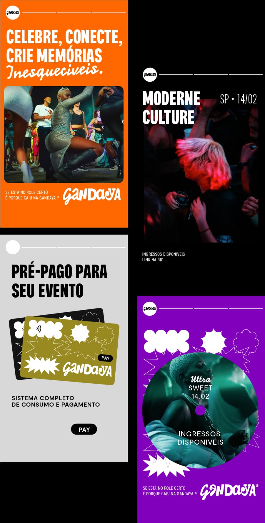 Identidade visual Gandaya, RegularSwitch