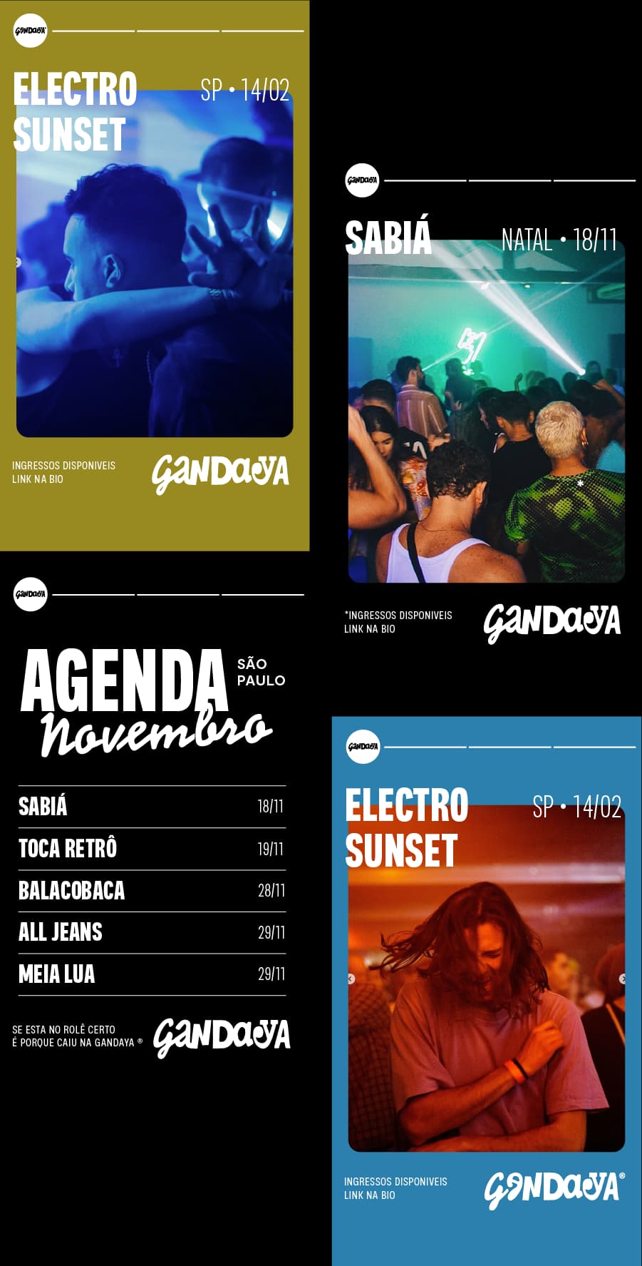 Identidade visual Gandaya, RegularSwitch