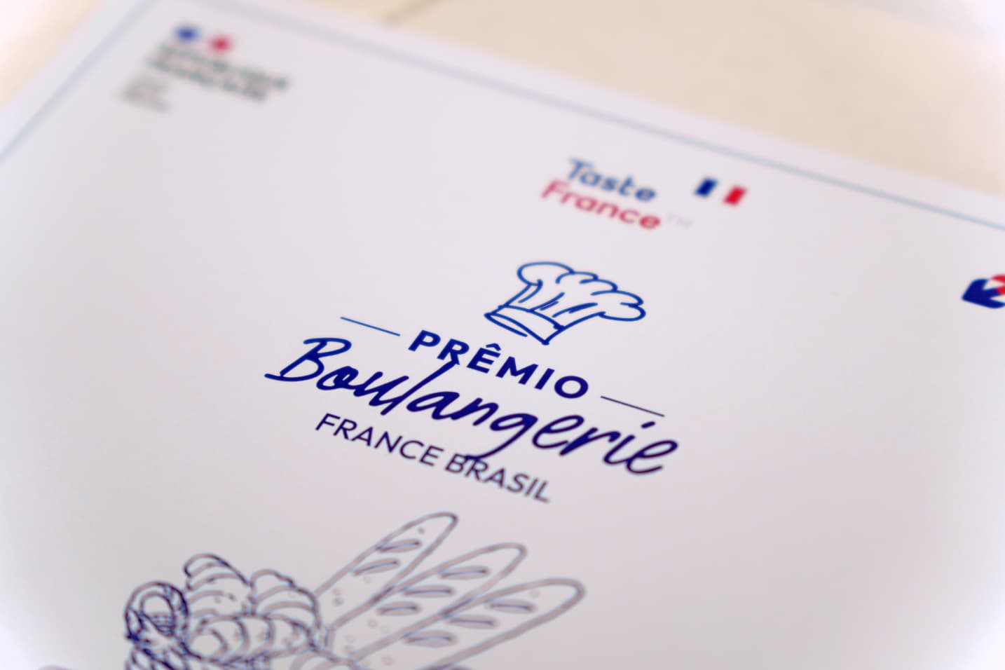 Identidade visual Prêmio Taste France Brasil, sistema ilustrativo RegularSwitch