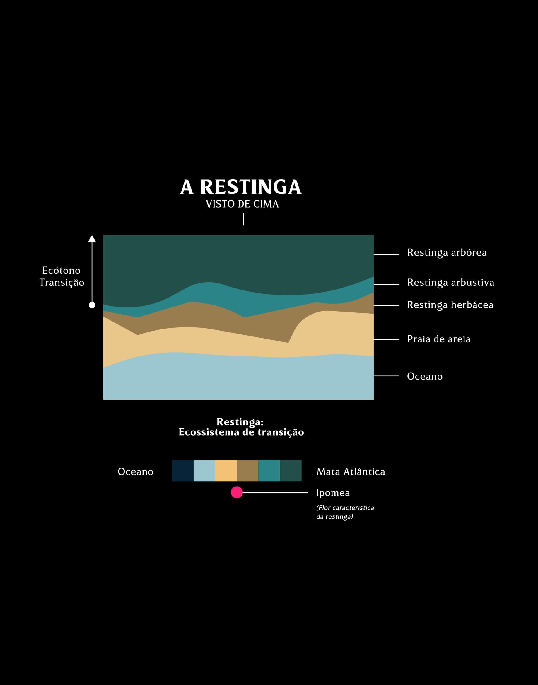 Identidade visual Restinga, RegularSwitch