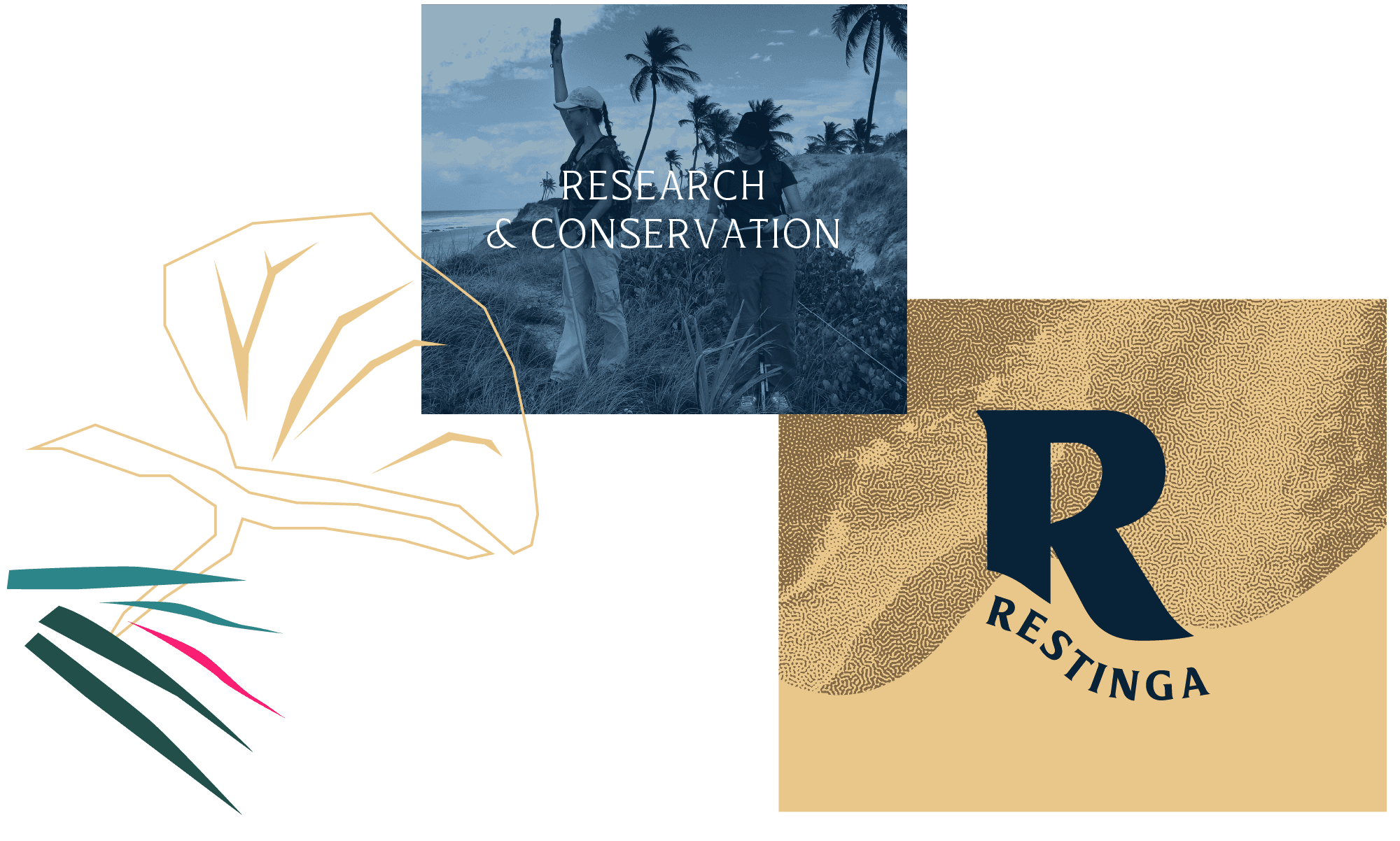 Identidade visual Restinga, RegularSwitch