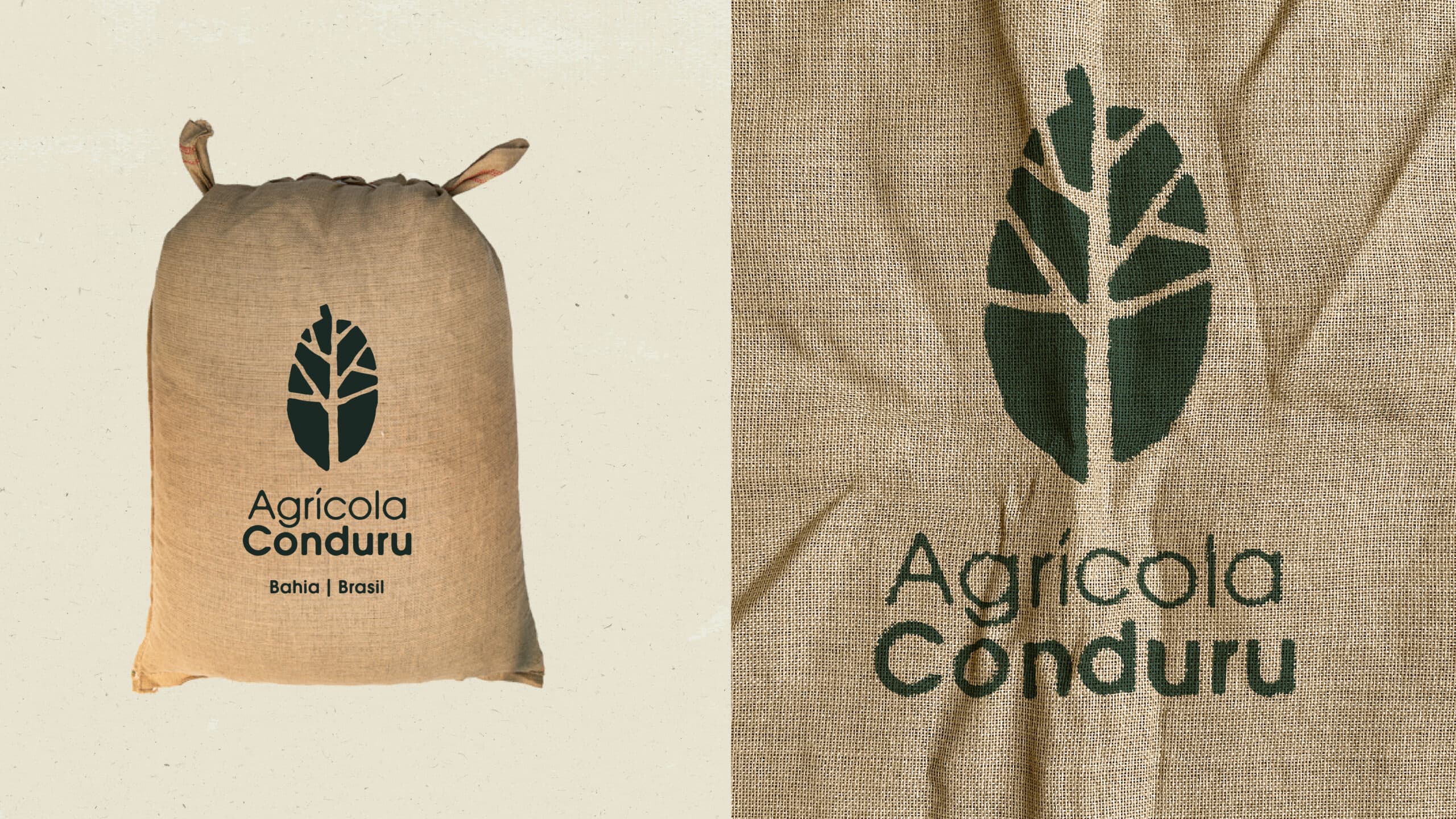 Identidade visual Conduru | identidade visual para fazenda de cacau na Bahia, RegularSwitch