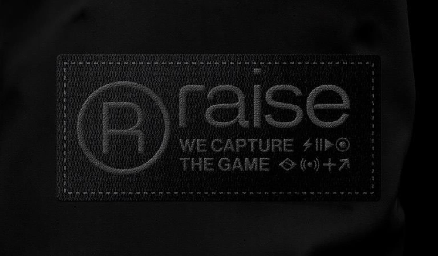 Identidade visual Raise, RegularSwitch