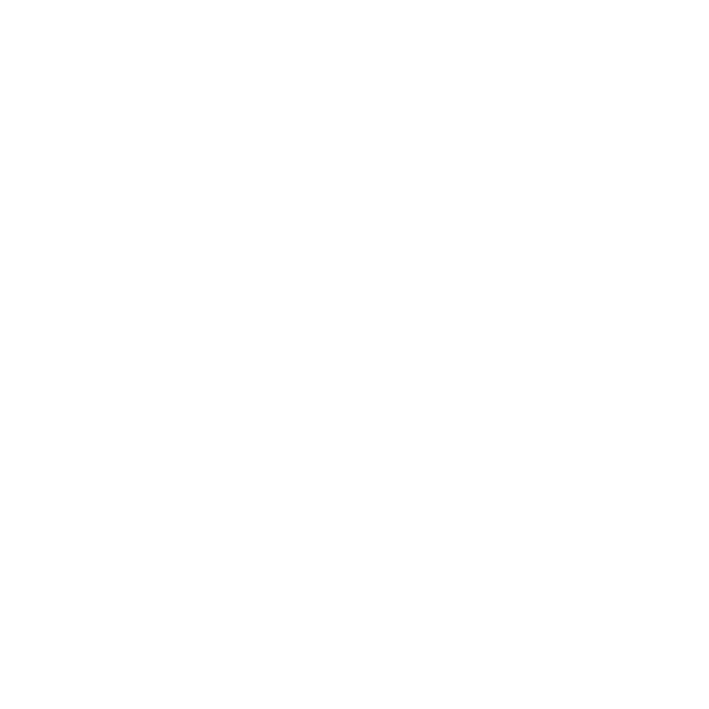 Variant Typographique logo
