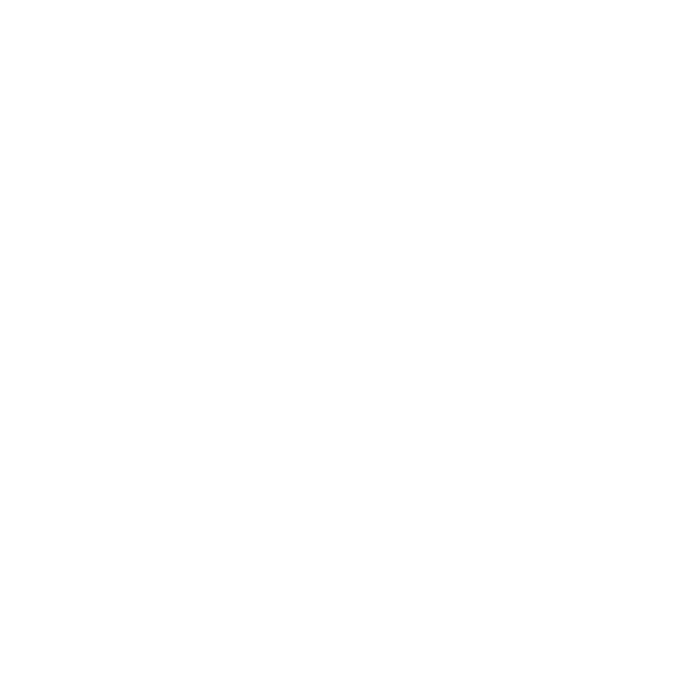 Plug Play logo