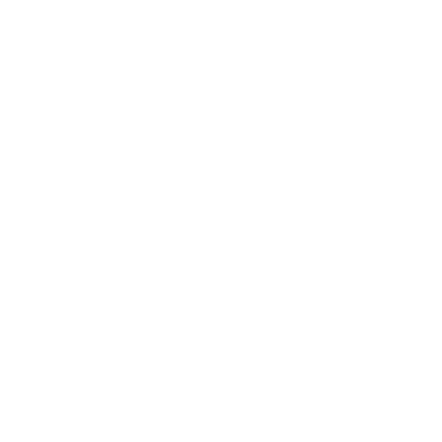 Raise logo