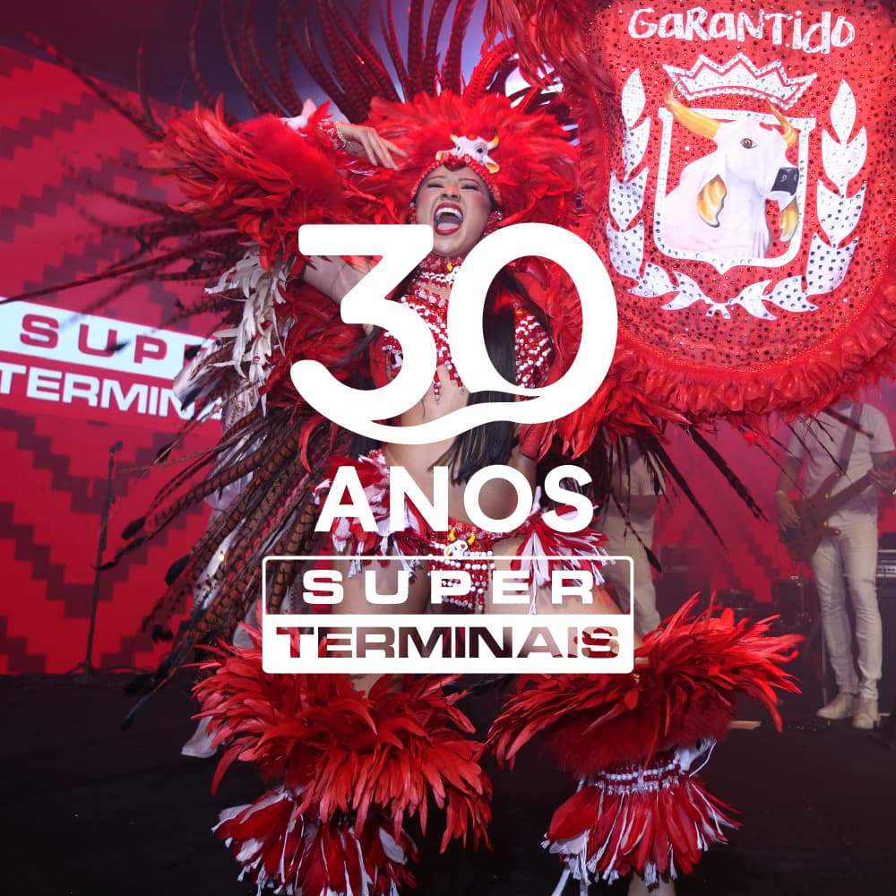 Identidade visual 30 Anos Super Terminais, RegularSwitch